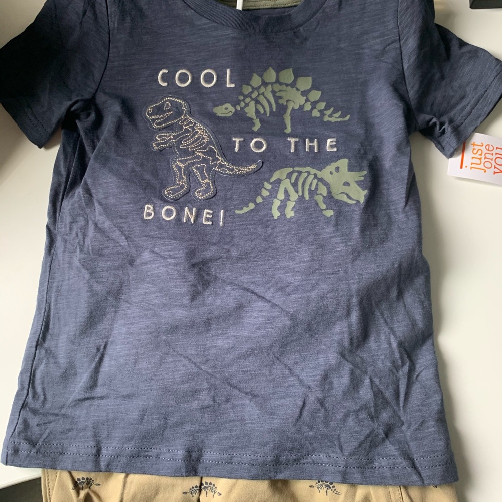 Dinosaur 2 piece outfit